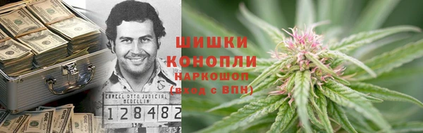 тгк Инсар