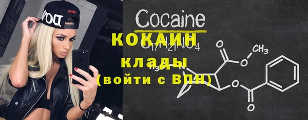 тгк Инсар