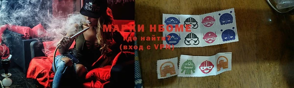 тгк Инсар