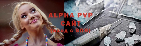 тгк Инсар
