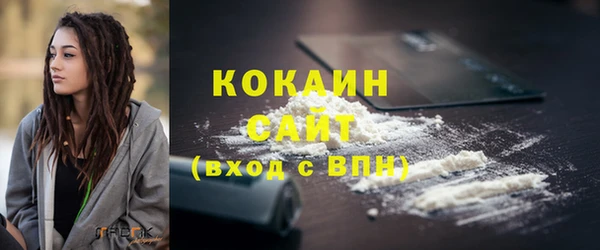 тгк Инсар