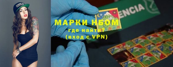 тгк Инсар
