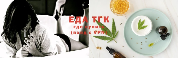 тгк Инсар