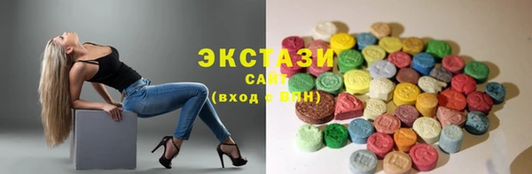 тгк Инсар