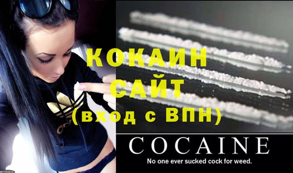 тгк Инсар