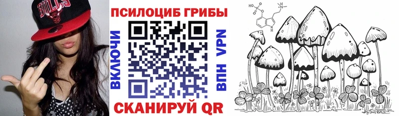 Галлюциногенные грибы Psilocybine cubensis  Купить закладки  Белорецк 